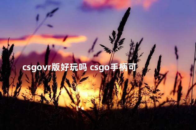 csgovr版好玩吗 csgo手柄可以玩吗